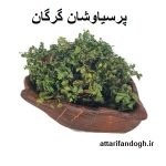 روش مصرف پرسیاوشان
