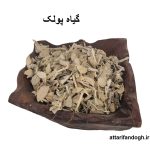 گیاه پولک