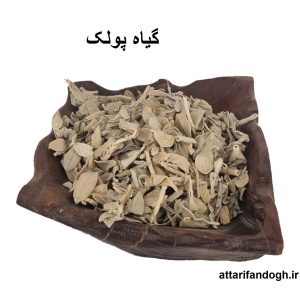 گیاه پولک