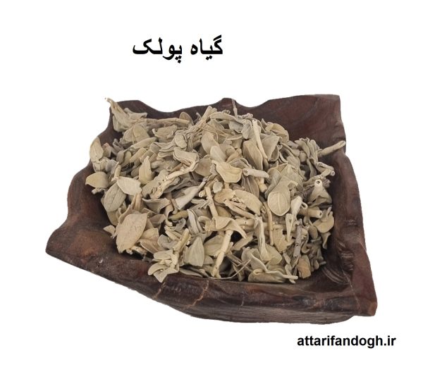 گیاه پولک