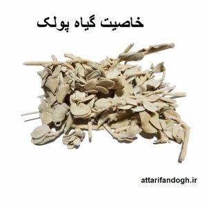 خاصیت و طریقه مصرف گیاه پولک