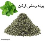 روش های مصرف پونه کوهی