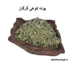پونه کوهی