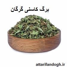 برگ کاسنی