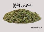 کاکوتی آنخ