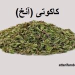 کاکوتی آنخ