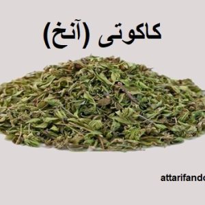 کاکوتی آنخ