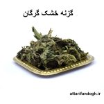 گزنه خشک