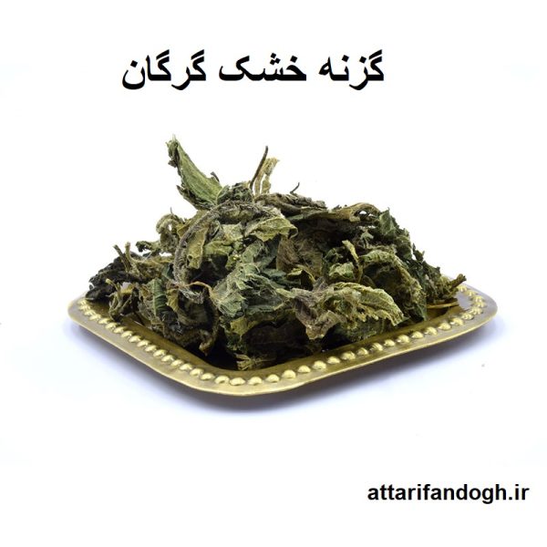 گزنه خشک