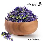 پنیرک (گل خبازی، گل ختمی)
