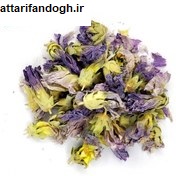 خاصیت گل ختمی