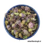 خاصیت گل زوفا و بهترین زمان مصرف