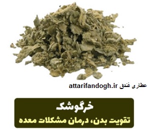 خاصیت خرگوشک یا ماهور