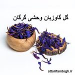 گل گاوزبان وحشی