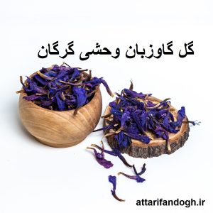 گل گاوزبان وحشی