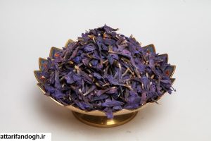 خاصیت گل گاوزبان