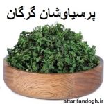 پرسیاوشان (پرسیاوش)
