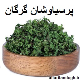 پرسیاوشان (پرسیاوش)