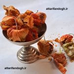 عروسک پشت پرده (کاکنج_کاکنه_فیسالیس)