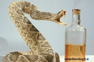 خاصیت روغن مار