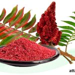 سماق قرمز
