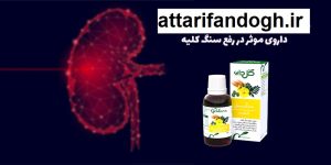 قوی ترین داروی گیاهی سنگ کلیه