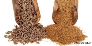 خاصیت پودر زیره سبز