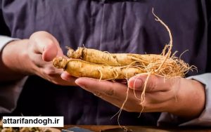 خاصیت جسینسینگ سفید
