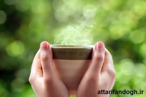 عرقیات و دمنوش مناسب سفر