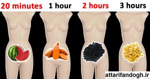 تدابیر طب سنتی برای تغذیه