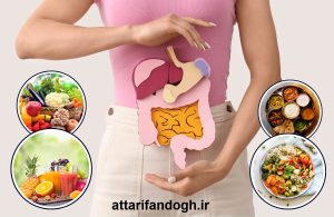 غذاهای زود هضم