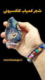 سنگ راف شجر کلکسیونی کم یاب
