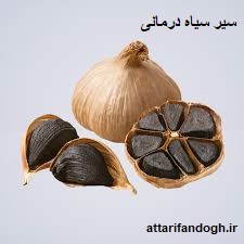 سیر سیاه ارگانیک لوکس عطاری فندق