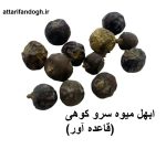 ابهل تمیز قاعده آور (جونیپر، مای مرز، میوه سرو کوهی)