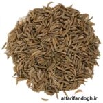 زیره سبز تمیز عطاری فندق